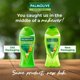 thumbnail image 2 of Gel de Ducha Palmolive Aroma Morning Tonic 250 ml, 2 of 9