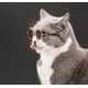 thumbnail image 3 of LENTES DE SOL KAWAI PARA MASCOTAS, 3 of 3