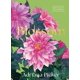 thumbnail image 1 of Libro Hardie Grant Books Blossom Creatividad Floral, 1 of 1