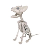 Bothyi - Decoración De Halloween Con Esqueleto De Gato, Versátil Para El Patio, El Hogar Y La Oficina, Liviana