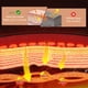 thumbnail image 5 of Almohadilla Térmica Small Pro Para Espalda Con Calor Infrarrojo Lejano, 5 of 9