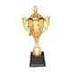 thumbnail image 5 of Premio Trofeo Premio Trofeos pequeños Trofeo Copa con base para de competencia escolar en , 21,5 cm 215 cm, 5 of 5