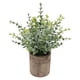 thumbnail image 2 of Planta Suculenta Artificial Falsa En Maceta Mini Plantas En Maceta Decoración De Jardín Para El Hogar Pequeño Eucalipto, 2 of 5