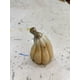 thumbnail image 2 of Esmalte De Sobrecubierta Madreperla 25 G, 2 of 4