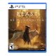 thumbnail image 1 of Video Game Solutions 2 Go Beast of Reincarnation PS5, 1 of 6