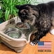thumbnail image 2 of Cuencos para perros y gatos Feeder Neater Express, a prueba de suciedad, fabricados en EE. UU., 2 of 9