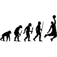 Rienda Libre Graphics - Decomural Evolution Basketball Sports Ws-42901