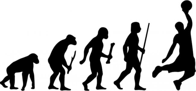 Rienda Libre Graphics - Decomural Evolution Basketball Sports Ws-42901