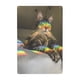 thumbnail image 1 of Cartel de Metal Desmarcar Nyan Cat 30x20 cm, 1 of 6