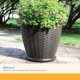 thumbnail image 5 of Macetero Suncast 46 cm Diseño de Mimbre con Orificios de Drenaje, 5 of 9