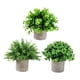 thumbnail image 2 of 3 Piezas Pequeñas Plantas Falsas Plantas Artificiales en Macetas Plantas Decorativas de Imitación en Maceta para Estante de Oficina Decoración de Baño Estilo H, 2 of 5