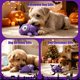 thumbnail image 4 of Juguete de Peluche para Perro HUGEME Monstruo de Halloween, 4 of 8