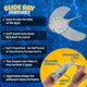 thumbnail image 4 of Juguete de piscina Refresh Sports Glider Ray para niños de 4 a 10 años, 4 of 6