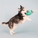 thumbnail image 4 of Juguete de peluche para perros Fringe Studio I Pawty You Pawty Pet Shop, 4 of 6