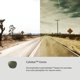 thumbnail image 5 of Gafas de sol AO Saratoga 54 mm, montura color tortuga y lentes verdes, 5 of 9
