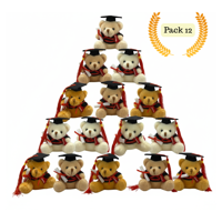 Genérico - Pack 12 Ositos Surtidos Graduación Obsequio Regalo