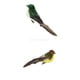 thumbnail image 1 of 2 Uds., Gorrión Con Plumas Artificiales, Clip Para Pájaros, Pájaros Falsos Spadger, 1 of 2