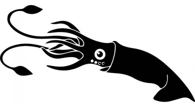 Rienda Libre Graphics - Decomural Squid Under The Sea Ws-32973