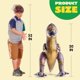 thumbnail image 4 of Dinosaurio hinchable JOYIN T-Rex Tyrannosaurus Rex de 30 cm de altura, 4 of 8