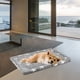thumbnail image 4 of Alfombrilla reversible para casetas para perros EMPSIGN, 30 x 20 pulgadas, gris, 4 of 6
