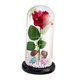 thumbnail image 4 of Regalos De Flores De Rosas Decoración Romántica De San Valentín Rosa Iluminada En Cúpula De Cristal Base Negra Besos, 4 of 5
