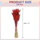 thumbnail image 2 of Uxcell 120pcs Colas de Conejo Naturales Flores Secas 17" Mini Hierba de Pampas Lagurus Ovatus Ramo para Decoración Floral de Boda, Rojo, 2 of 6