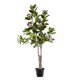 thumbnail image 1 of Planta Artificial Magnolio 2 Tronco 180 Cm Flores Blancas Rosadas, 1 of 3