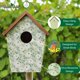 thumbnail image 4 of Casa decorativa con forma de pájaro azul, alas silvestres, olivo, color verde, 4 of 6