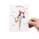 thumbnail image 3 of Lamina Partes del Cuerpo, 3 of 3