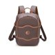 thumbnail image 1 of Mochila DELSEY PARIS Chatelet 2.0 para portátil de viaje, color marrón, 1 of 9