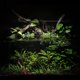 thumbnail image 3 of SOIL Ultum Nature Systems Controsoil 10 L Negro, 3 of 9