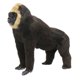 thumbnail image 5 of Estatua de estatuilla de chimpancé Miniaturas de gorilas artificiales Modelo de juguete para ni?os, 5 of 5