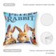 thumbnail image 5 of Peter Rabbit Fundas de almohada de terciopelo con tema, regalos de funda de almohada, decoración para el hogar, cojín de lanzar, regalo de cumpleaños para fans y parejas.61*61cm., 5 of 6
