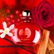 thumbnail image 3 of Perfume Michel Germain Sexual Oud Rouge para mujer 125ml, 3 of 5