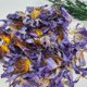 thumbnail image 2 of Flores de loto secas CoolCrafts azules naturales 28 g, 2 of 3