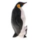 thumbnail image 1 of Animal Realista Modelo Figurita Figuras De Acción Juguete Educativo Pingüino #1, 1 of 3