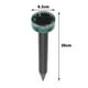 thumbnail image 3 of Estacas Solares Repelente de Topos y Ratones Pack De 4 negro, 3 of 5