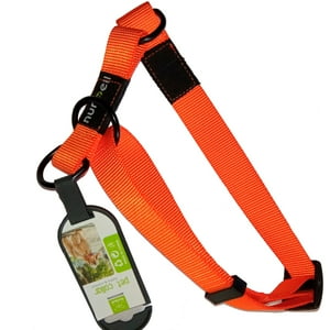 Importclick - Collar Gato Perro Resistente Ajustable Naranjo