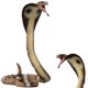 thumbnail image 5 of Figura de juguete Gemini&Genius King Cobra Safari Animal 16,5 cm, 5 of 9