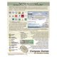 thumbnail image 2 of Juego de mesa Compass Games Zeppelin Raider: Imperial German, 2 of 4