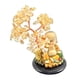 thumbnail image 4 of Luck Tree Crystal Money Tree Trae Riqueza Y Buena Suerte Estilo A, 4 of 5