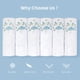 thumbnail image 5 of Pañuelos Selected Hanky 28 cm Floral - Pack de 6, 5 of 7