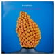 thumbnail image 2 of Bizarre Inc Get Up Sunshine Street 12 Maxi Single Usado, 2 of 2