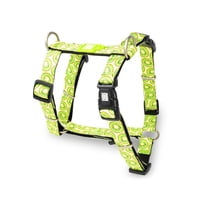 Max & Molly - Arnés Perro H Kiwi