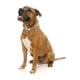 thumbnail image 2 of Collar Fuzzyard para perros JENGA M (32-50 cm), 2 of 2
