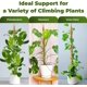 thumbnail image 4 of Soporte para Plantas Moss Pole Sproot 160 cm Flexible, 4 of 6