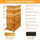 thumbnail image 2 of Kit de colmena Honey Lake de 8 cuadros, madera de cedro encerada, 2 of 8