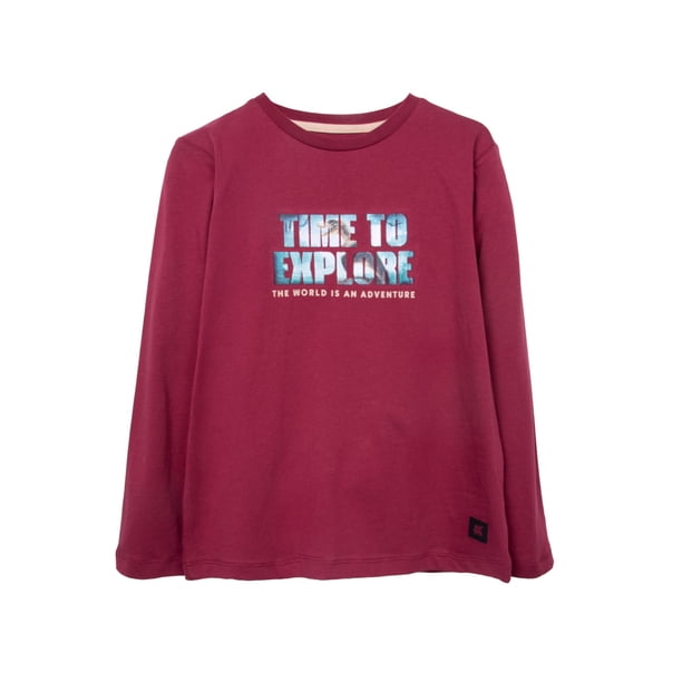 Polera Niño Manga Larga Estampado Dinosaurio Burdeo