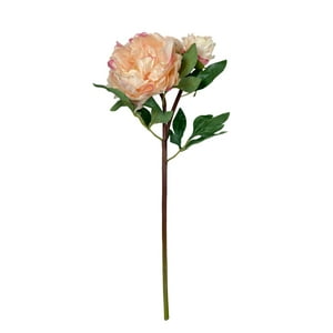 Corel - Peonia Con Boton Crema-Rosa 54Cm Con Acabado Natural