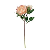Corel - Peonia Con Boton Crema-Rosa 54Cm Con Acabado Natural